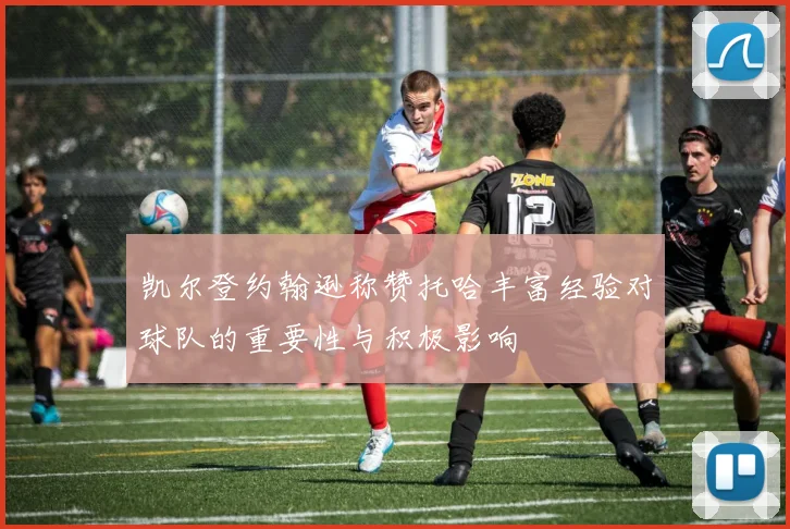 凯尔登约翰逊称赞托哈丰富经验对球队的重要性与积极影响
