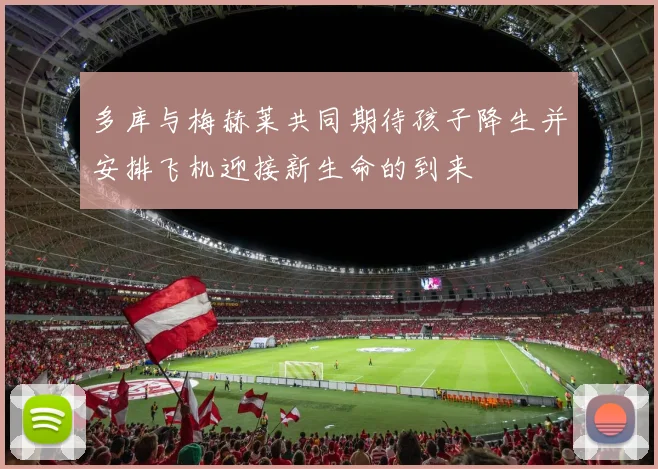 多库与梅赫莱共同期待孩子降生并安排飞机迎接新生命的到来
